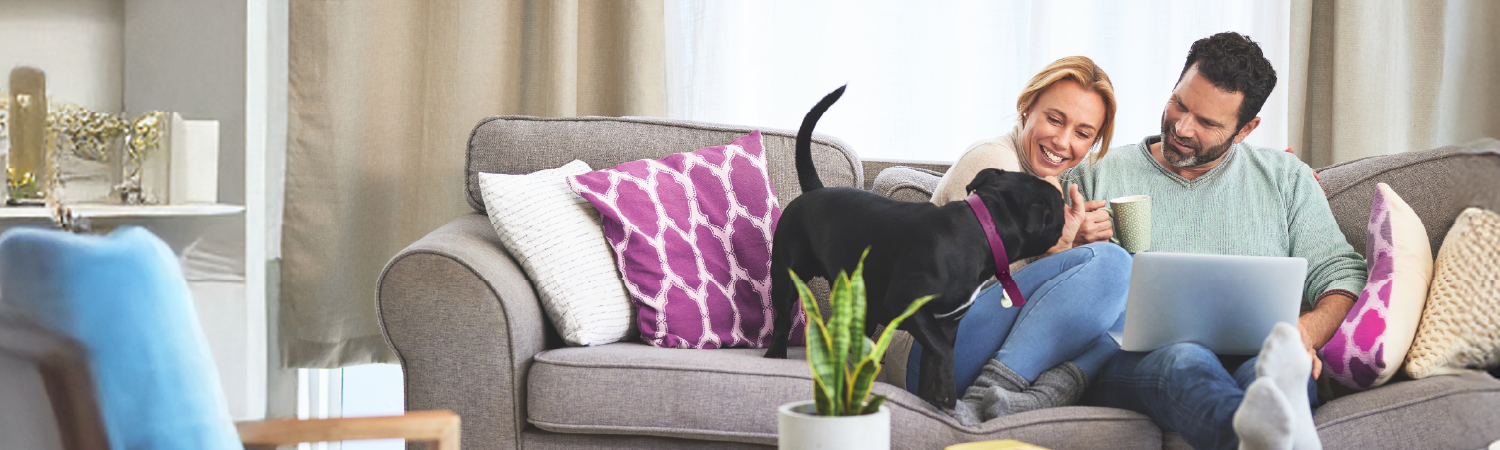 couple relaxing on the couch with their dog